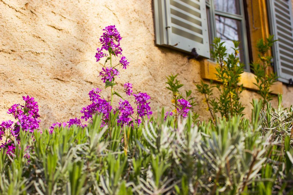 Aux Ronzieres Bed and Breakfast Pouilly-sous-Charlieu Rum bild